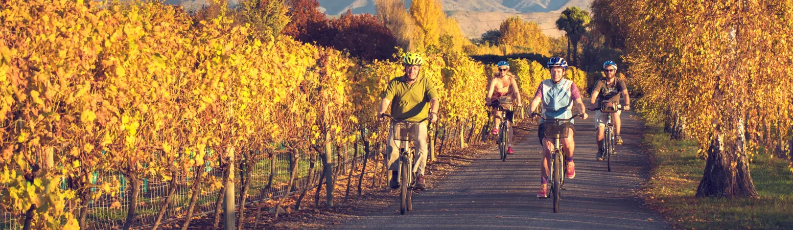 OP F C MDC Bike Winery Autumn Must Be Only Marlborough Horizontal Branded(45)