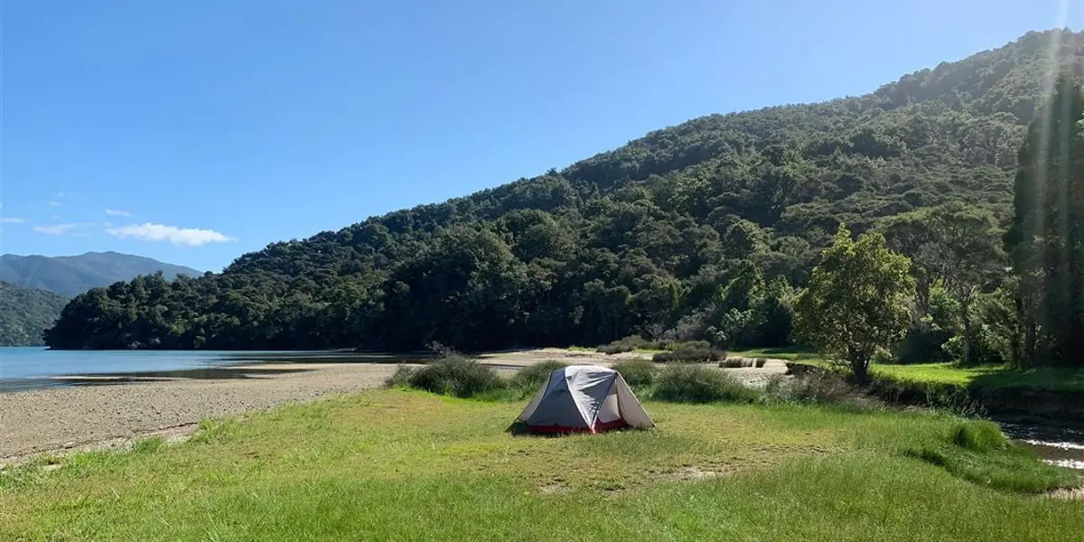 Davies Bay Campsite 1920
