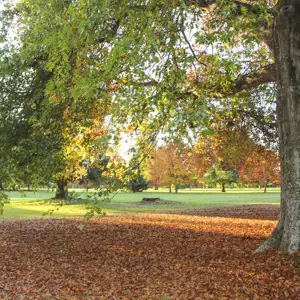 Pollard Park (21)