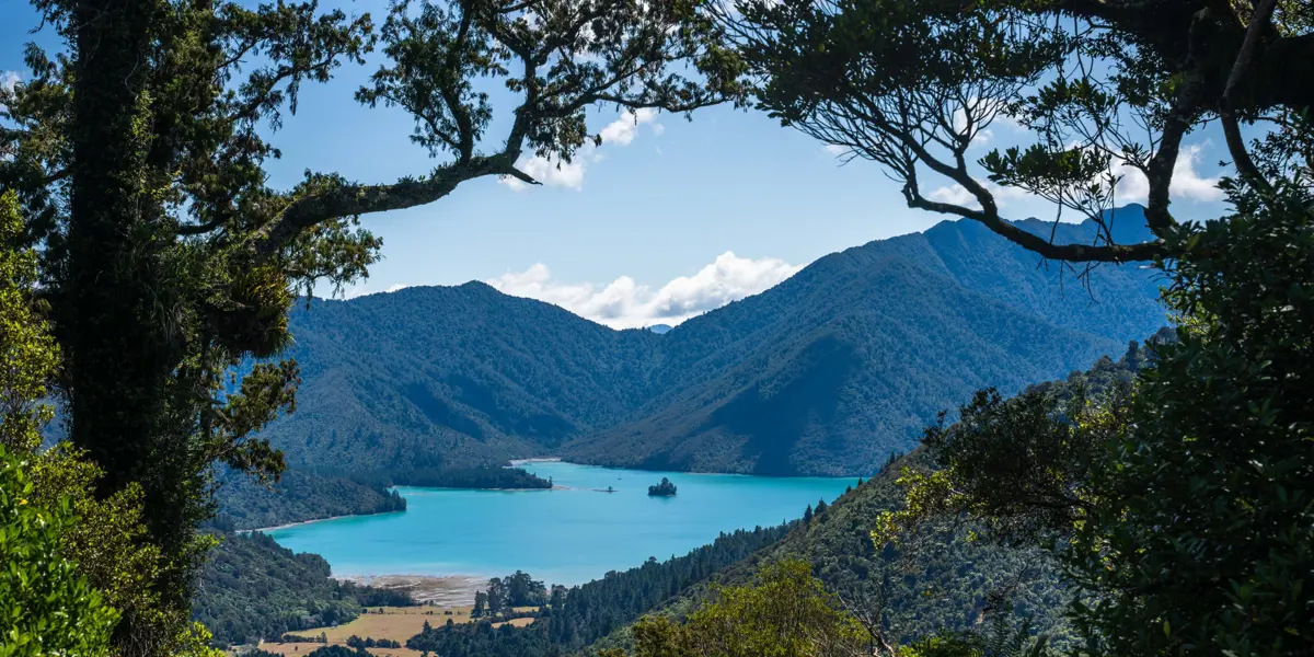 Walk Pelorus Nydia Track 14
