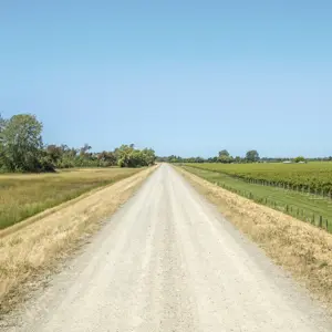 RBP 624