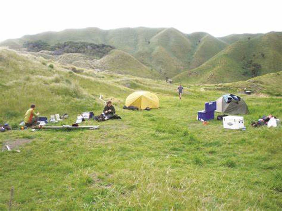 Moawhitu Campsite