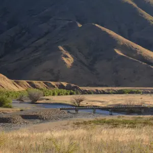 Molesworth.08