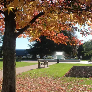 Seymour Square (6)